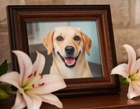 Gifts – In Memory and In Honor